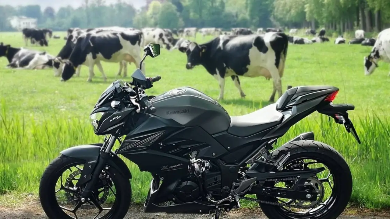 Kawasaki Z300 बाइक के 7 बड़े नुकसान